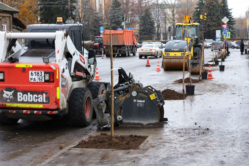 В Рязани продолжается комплексное озеленение