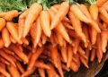 Как правильно сохранить морковь зимой: секреты успешного хранения