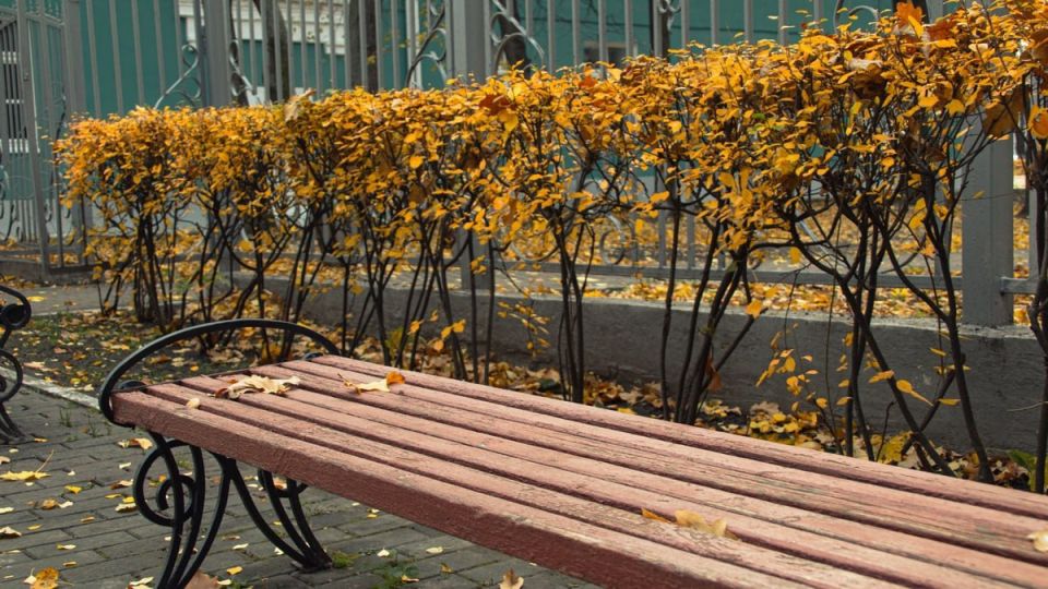 Прогноз погоды на среду от синоптиков Рязанского ЦГМС