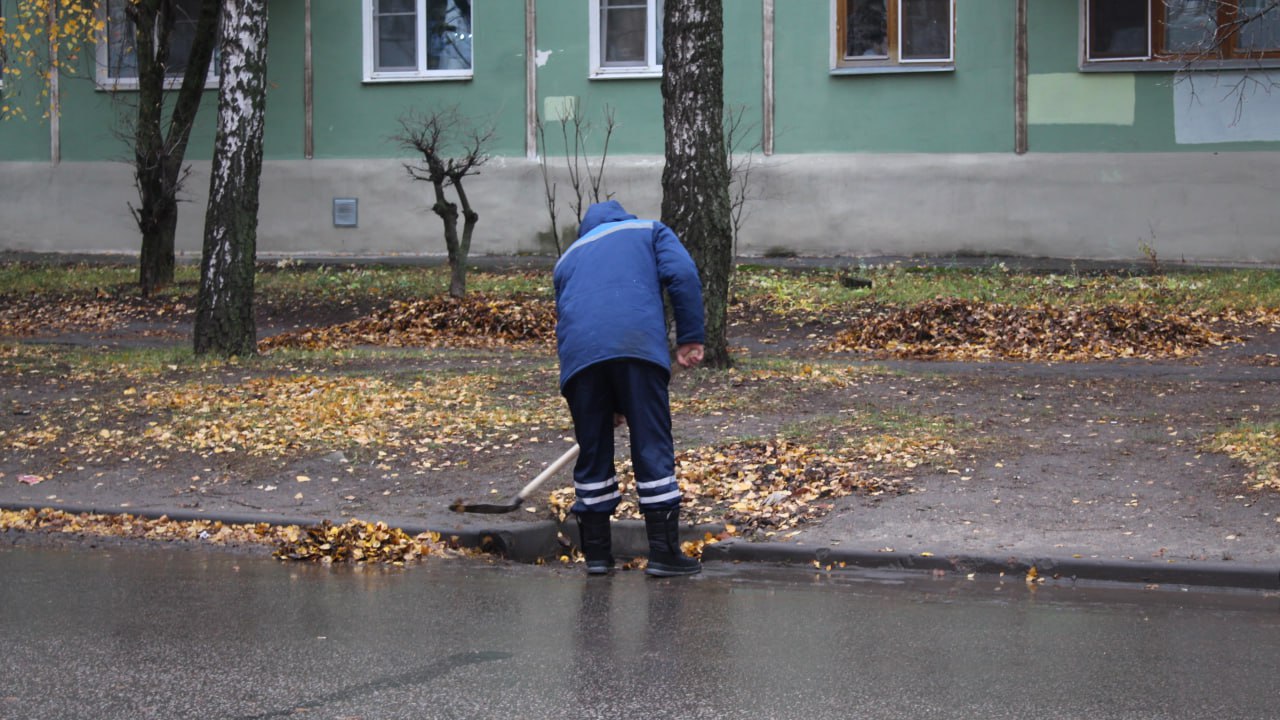 Днем 5 ноября в городе продолжаются сезонные работы по уборке и благоустройству территорий Днем 5 ноября в городе продолжаются сезонные работы по уборке и благоустройству территорий