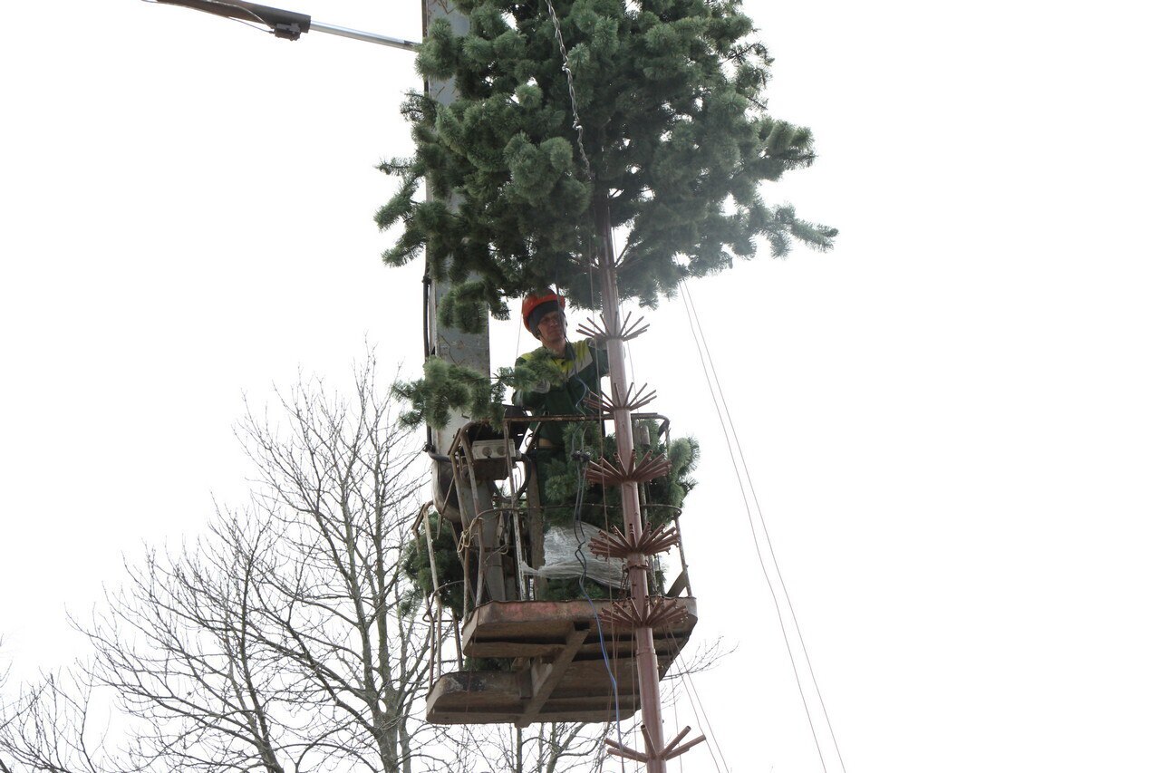 В областном центре началась установка новогодних елей в рамках подготовки к праздничным мероприятиям В областном центре началась установка новогодних елей в рамках подготовки к праздничным мероприятиям