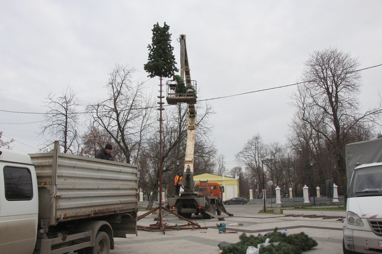 В областном центре началась установка новогодних елей в рамках подготовки к праздничным мероприятиям В областном центре началась установка новогодних елей в рамках подготовки к праздничным мероприятиям