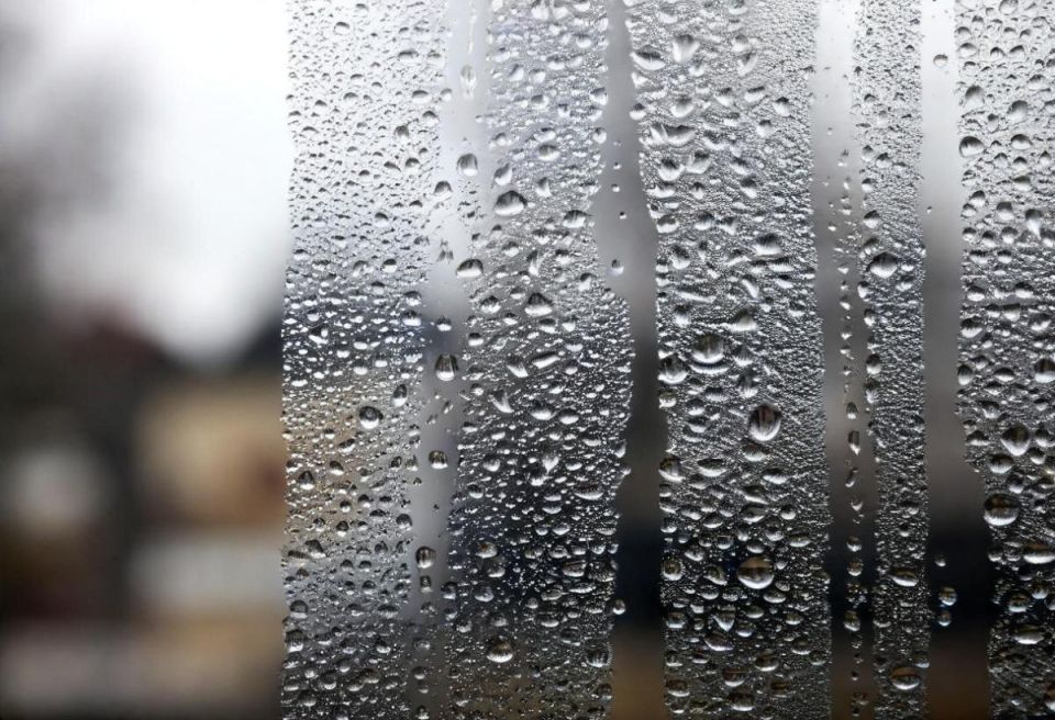 Как избавиться от навязчивого конденсата на окнах этой зимой: советы от специалистов