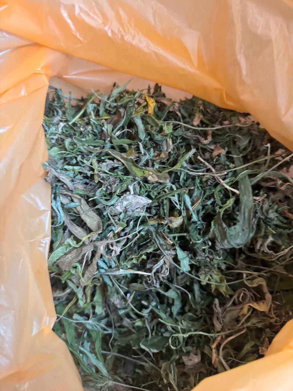 В Рязанском районе сотрудники полиции изъяли крупную партию марихуаны, обрез ружья и винтовку с патронами В Рязанском районе сотрудники полиции изъяли крупную партию марихуаны, обрез ружья и винтовку с патронами