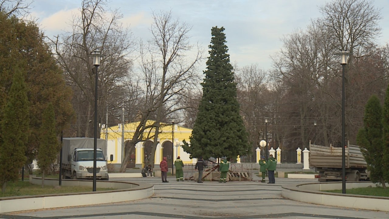 В Рязани начали устанавливать новогодние ели