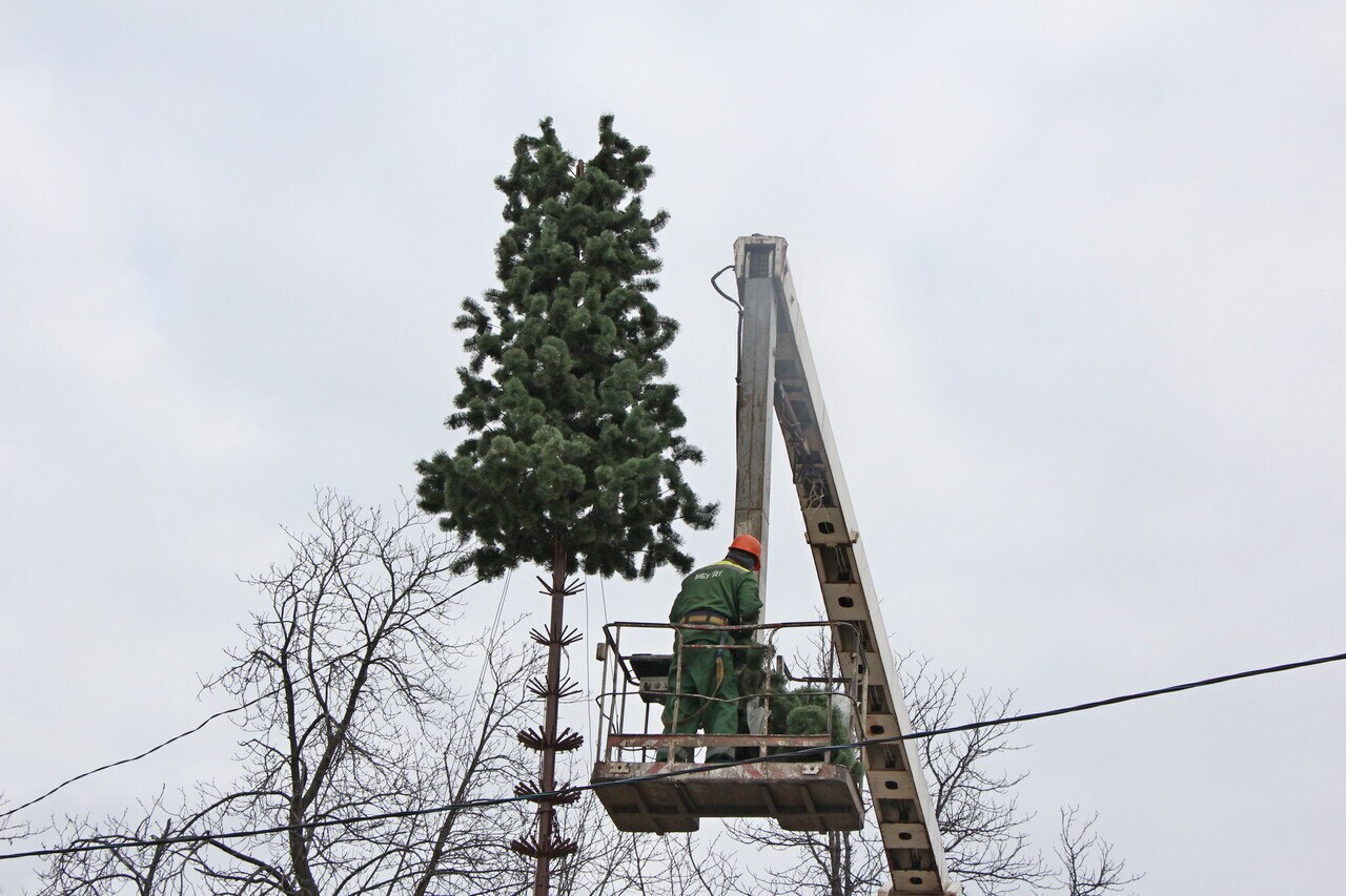 В областном центре началась установка новогодних елей в рамках подготовки к праздничным мероприятиям В областном центре началась установка новогодних елей в рамках подготовки к праздничным мероприятиям