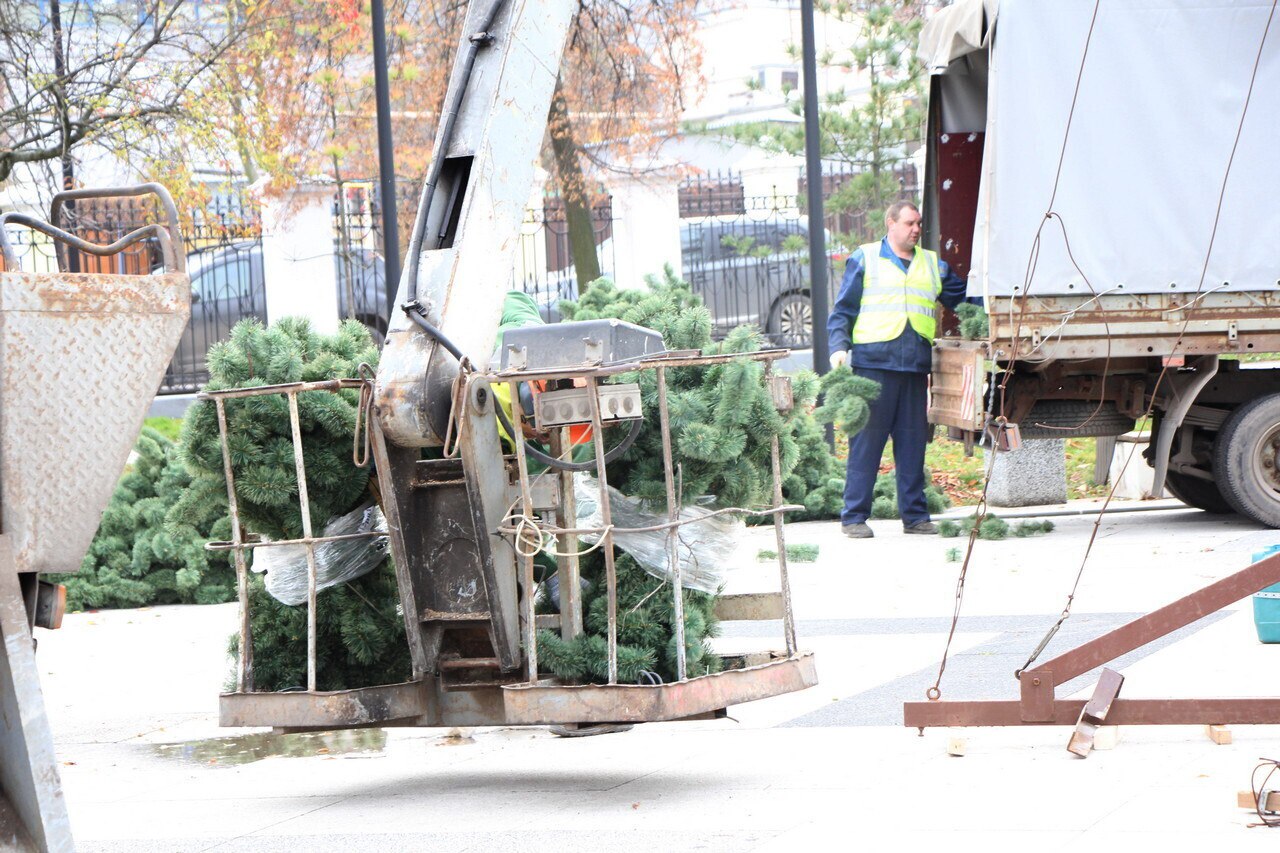 В областном центре началась установка новогодних елей в рамках подготовки к праздничным мероприятиям В областном центре началась установка новогодних елей в рамках подготовки к праздничным мероприятиям