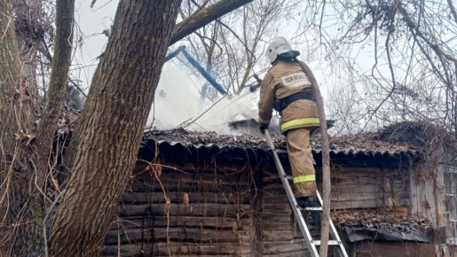 В деревне Ниловка Сараевского района 6 ноября на пожаре погибла женщина