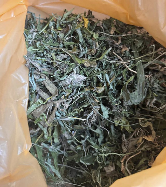 Почти 9 кг конопли и марихуаны, обрез ружья и винтовку с патронами изъяла рязанская полиция у экс-супругов Почти 9 кг конопли и марихуаны, обрез ружья и винтовку с патронами изъяла рязанская полиция у экс-супругов