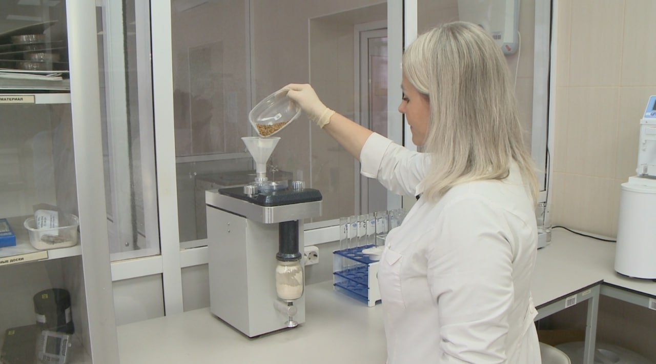 Россельхознадзор контролирует качество и безопасность зерна нового урожая