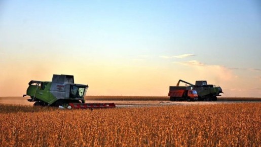 В Рязанской области завершается уборочная кампания