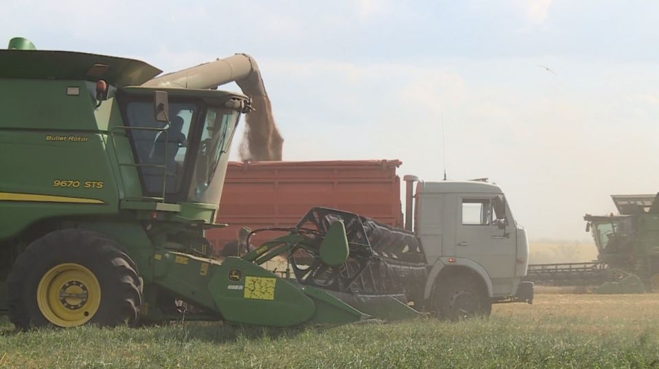 Рязанские аграрии превысили прошлогодние показатели сбора урожая