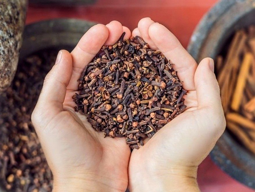 Гвоздичный эликсир: старинный секрет здоровья вашей печени