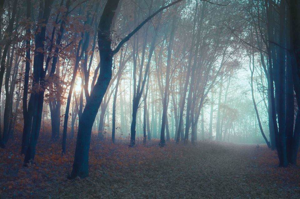 Прогноз погоды на среду от синоптиков Рязанского ЦГМС