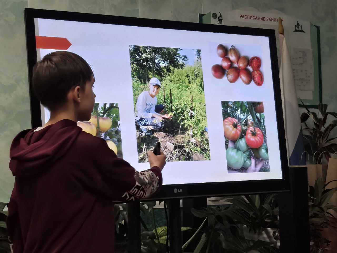 На Рязанской городской станции юных натуралистов подвели итоги городского конкурса юных аграриев «Юннат» На Рязанской городской станции юных натуралистов подвели итоги городского конкурса юных аграриев «Юннат»
