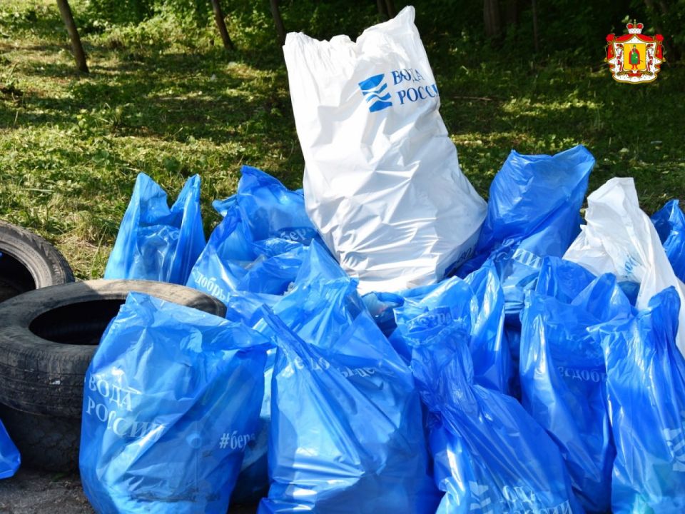 Волонтёры Рязанской области очистили от мусора больше 70 км береговой линии рек и озёр