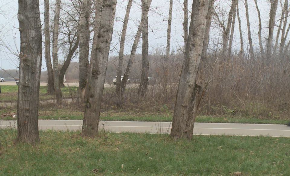 Рязанцев предупредили о похолодании на предстоящих выходных