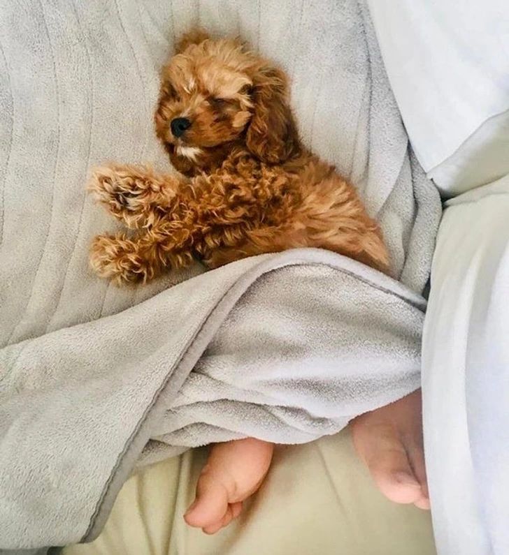 Откройте для себя мир захватывающих оптических иллюзий