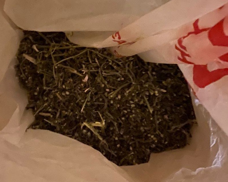 Полицейские задержали в городе Шацке злоумышленника, подозреваемого в незаконном изготовлении и хранении марихуаны Полицейские задержали в городе Шацке злоумышленника, подозреваемого в незаконном изготовлении и хранении марихуаны