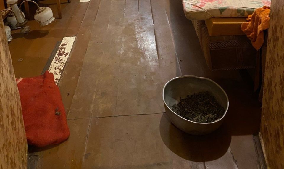 Полицейские задержали в городе Шацке злоумышленника, подозреваемого в незаконном изготовлении и хранении марихуаны