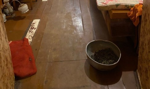 Полицейские задержали в городе Шацке злоумышленника, подозреваемого в незаконном изготовлении и хранении марихуаны