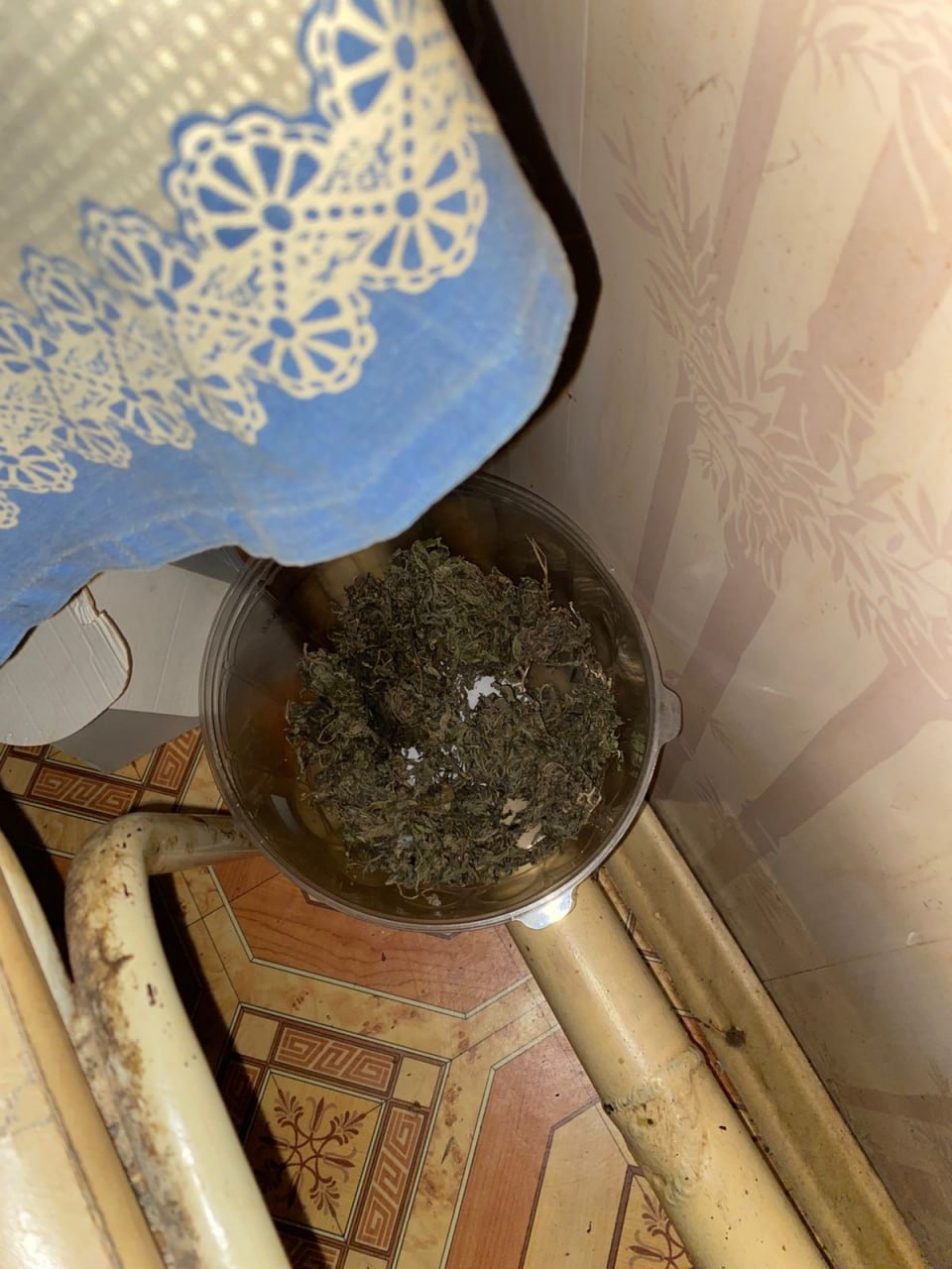 Полицейские задержали в городе Шацке злоумышленника, подозреваемого в незаконном изготовлении и хранении марихуаны Полицейские задержали в городе Шацке злоумышленника, подозреваемого в незаконном изготовлении и хранении марихуаны