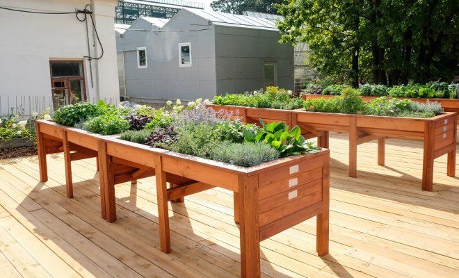 Как создать красивый и удобный огород: современные идеи для грядок