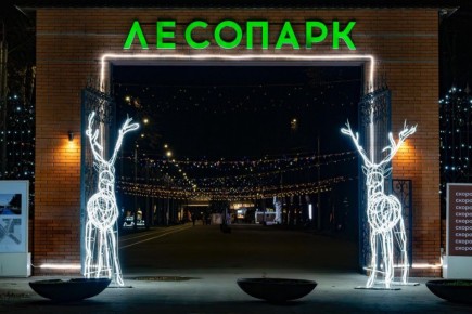 В любимом всеми рязанцами Лесопарке идет подготовка к главному празднику года