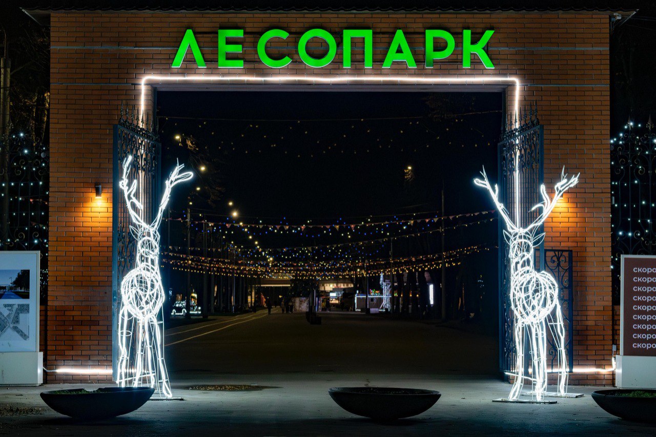 В любимом всеми рязанцами Лесопарке идет подготовка к главному празднику года В любимом всеми рязанцами Лесопарке идет подготовка к главному празднику года