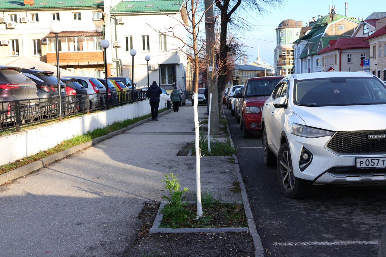 Рязанские коммунальные службы начали белить деревья Рязанские коммунальные службы начали белить деревья