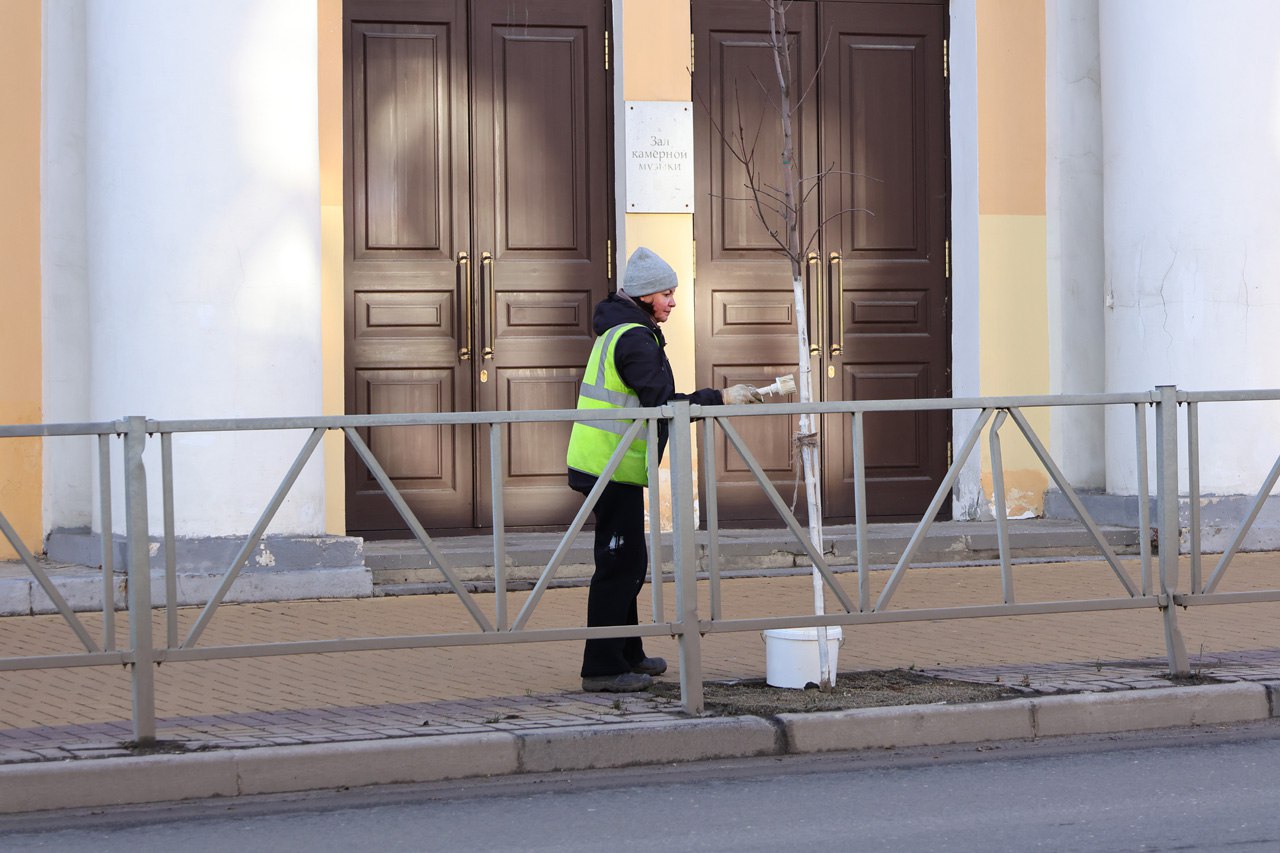 Рязанские коммунальные службы начали белить деревья Рязанские коммунальные службы начали белить деревья