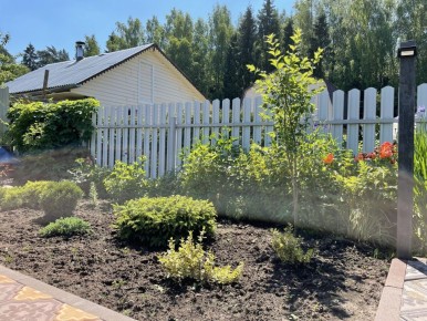 Почему местные саженцы – лучшее решение для вашего сада