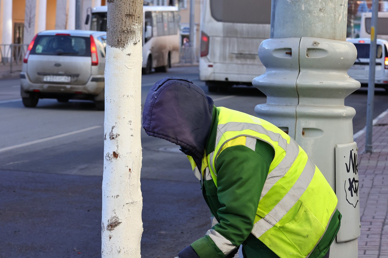Рязанские коммунальные службы начали белить деревья Рязанские коммунальные службы начали белить деревья