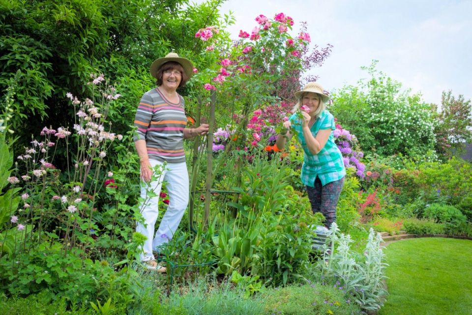 Как создать идеальный ленивый сад: советы для занятых дачников