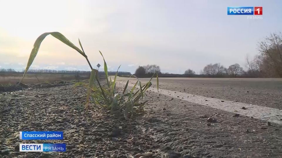       &quot;  &quot;         13 