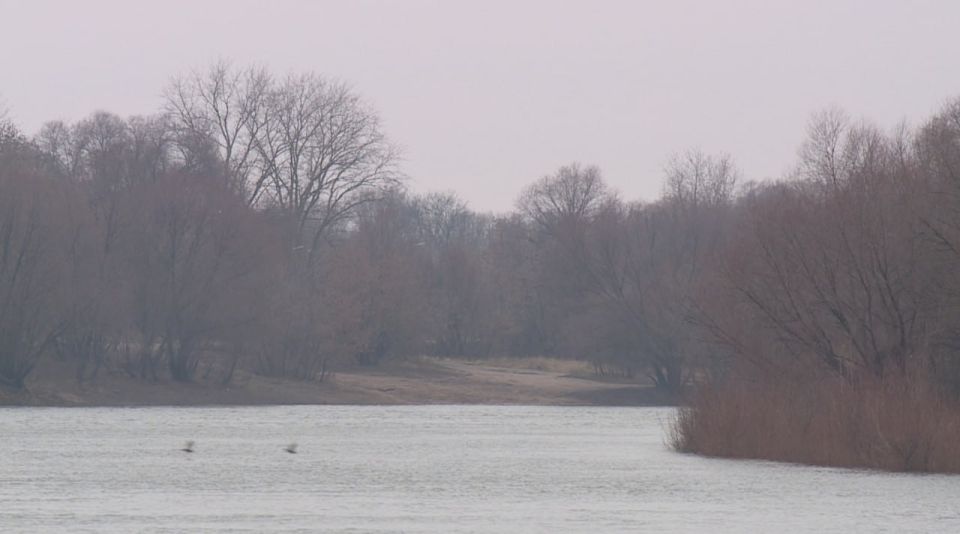 Не по сезону тёплая погода пришла в Рязанскую область на этой неделе