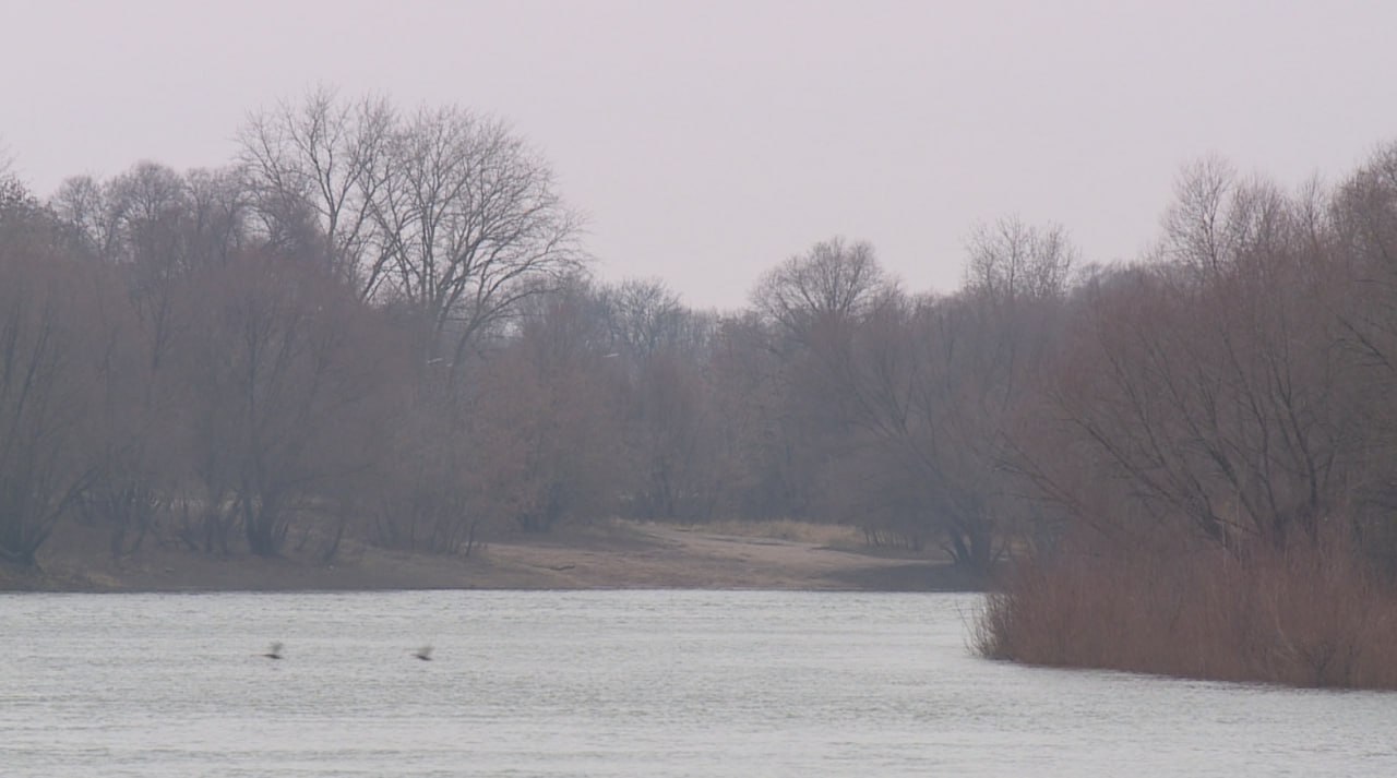 Не по сезону тёплая погода пришла в Рязанскую область на этой неделе