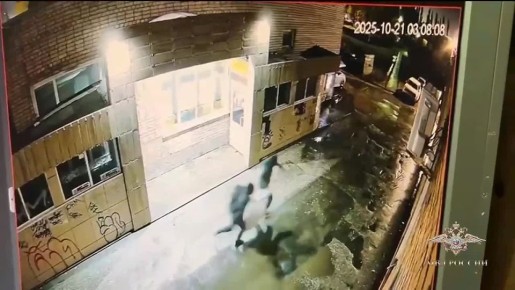 Ирина Волк: Результатом визитов воров-гастролеров в квартиры, офисы и ювелирные салоны в нескольких регионах России стал ущерб около 15 миллионов рублей