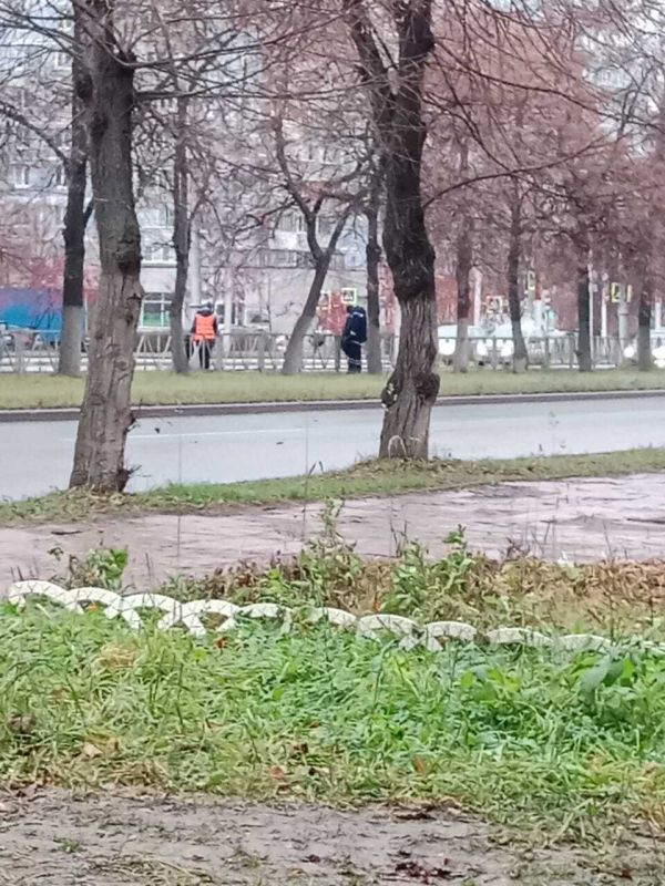 Днем 26 ноября продолжаются работы по сбору случайного мусора, очистке урн, обслуживанию остановок