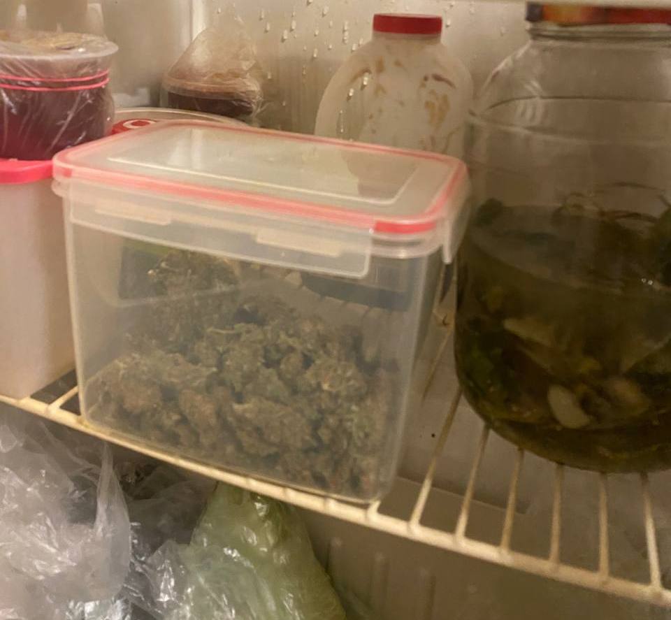 «Комнатная оранжерея». Полицейские задержали злоумышленника, подозреваемого в незаконном хранении наркотиков в Рязани «Комнатная оранжерея». Полицейские задержали злоумышленника, подозреваемого в незаконном хранении наркотиков в Рязани