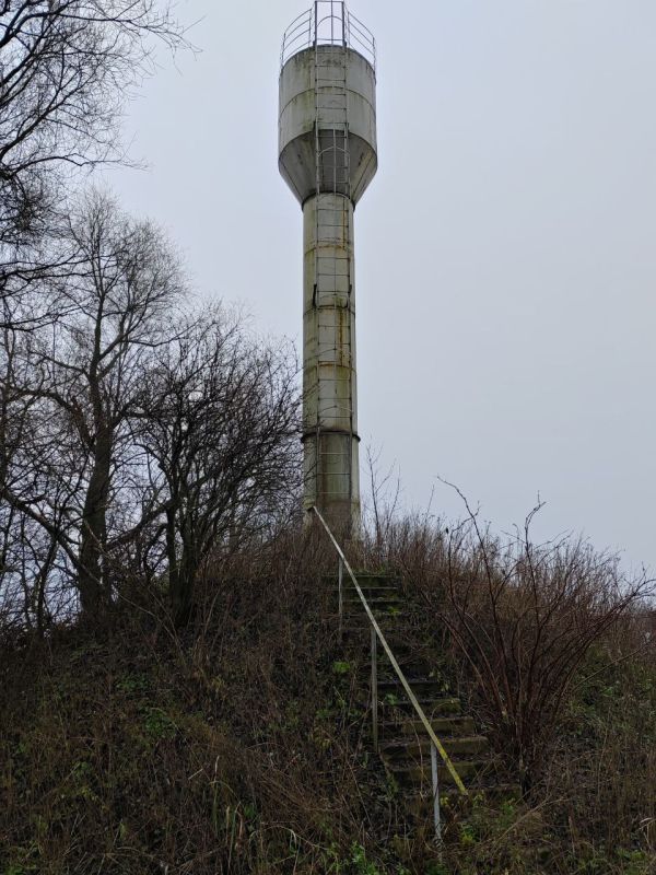 ����������� ������������ ������ ��������� ���������� ���������� ���������������� � ����� �������-������������� ���������