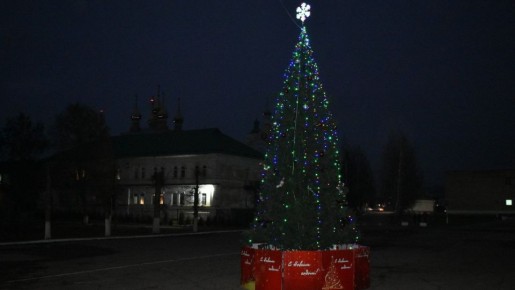 В центре Кадома установили новогоднюю ель