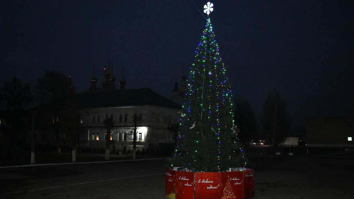 В центре Кадома установили новогоднюю ель