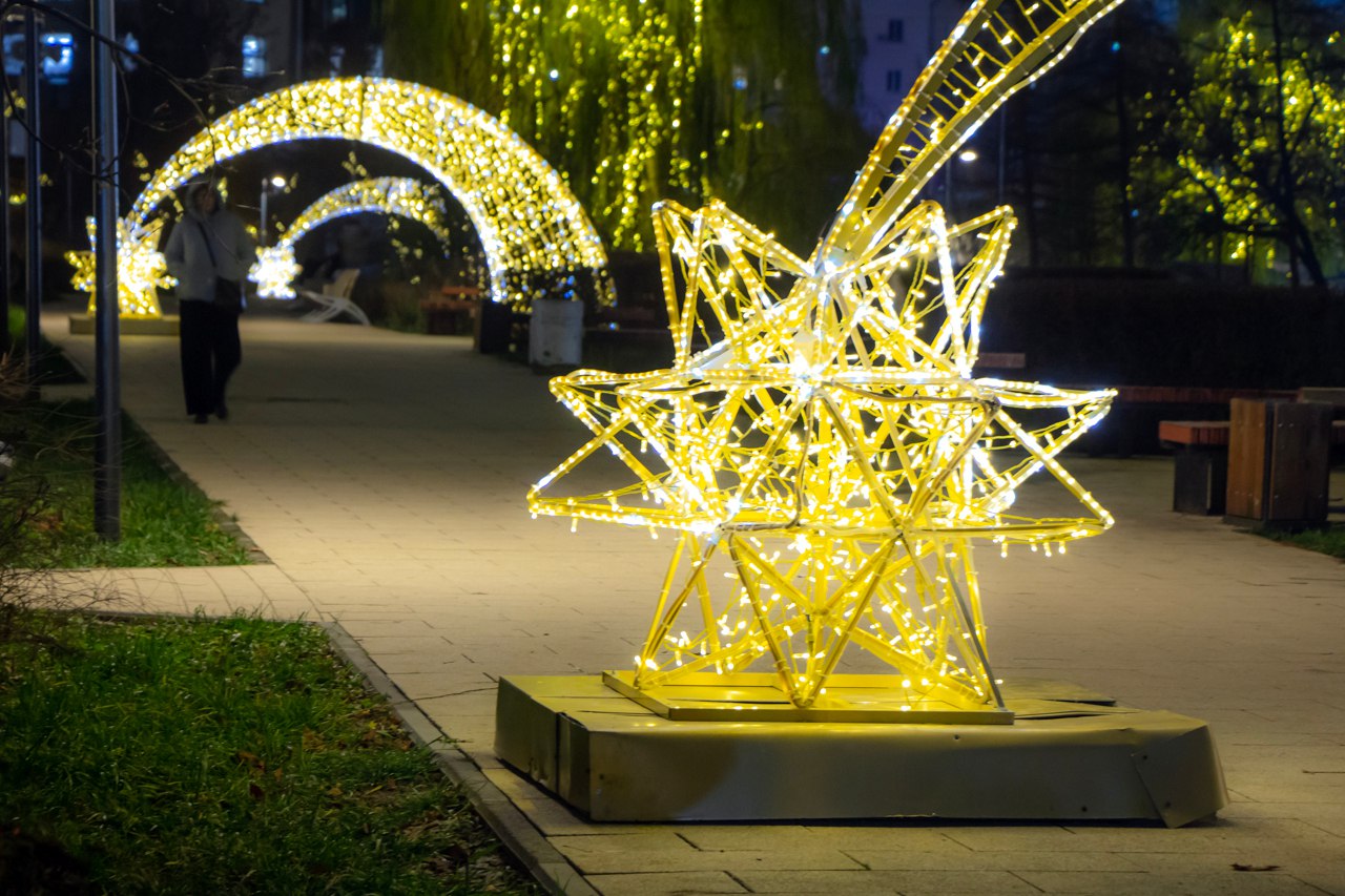 В Рязани продолжается подготовка к празднованию Нового года В Рязани продолжается подготовка к празднованию Нового года