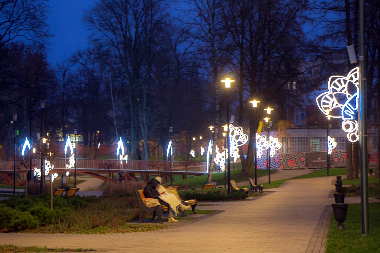 В Рязани продолжается подготовка к празднованию Нового года В Рязани продолжается подготовка к празднованию Нового года