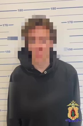 Полицейские установили личность и задержали мужчину, причастного к повреждению праздничной гирлянды, украшавшей магазин в городе Касимове