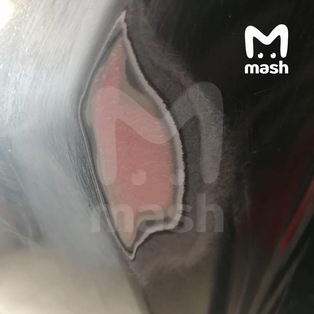 Владелец китайского кроссовера Chery Tiggo обанкротил одного из их крупнейших офдилеров в Рязани — серийными жалобами на облупившуюся краску Владелец китайского кроссовера Chery Tiggo обанкротил одного из их крупнейших офдилеров в Рязани — серийными жалобами на облупившуюся краску