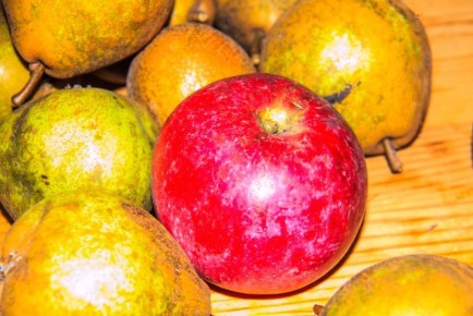 Как правильно мыть овощи и фрукты, чтобы смыть с них вредителей: об этом вы не знали