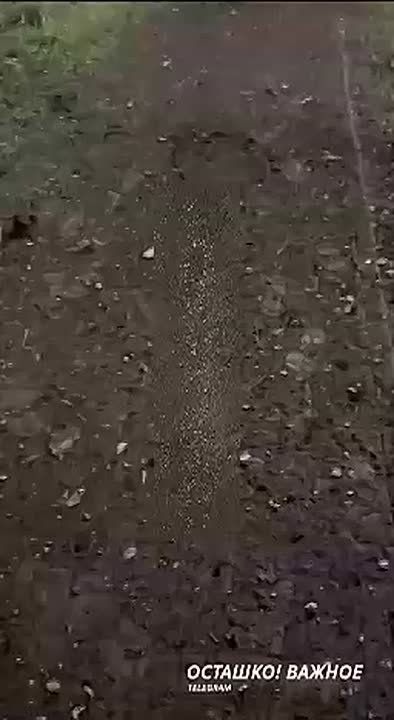 Пять взрывов прогремело в Рязани