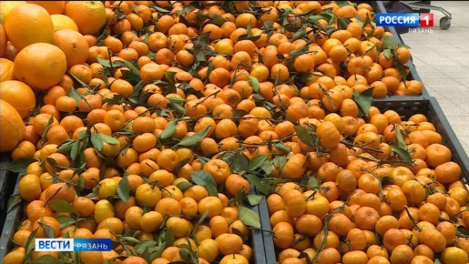 Оранжевый символ Нового года: откуда в Рязань везут мандарины